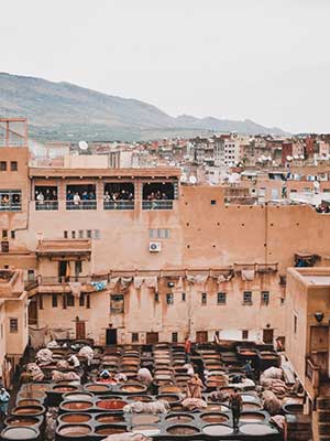 fez